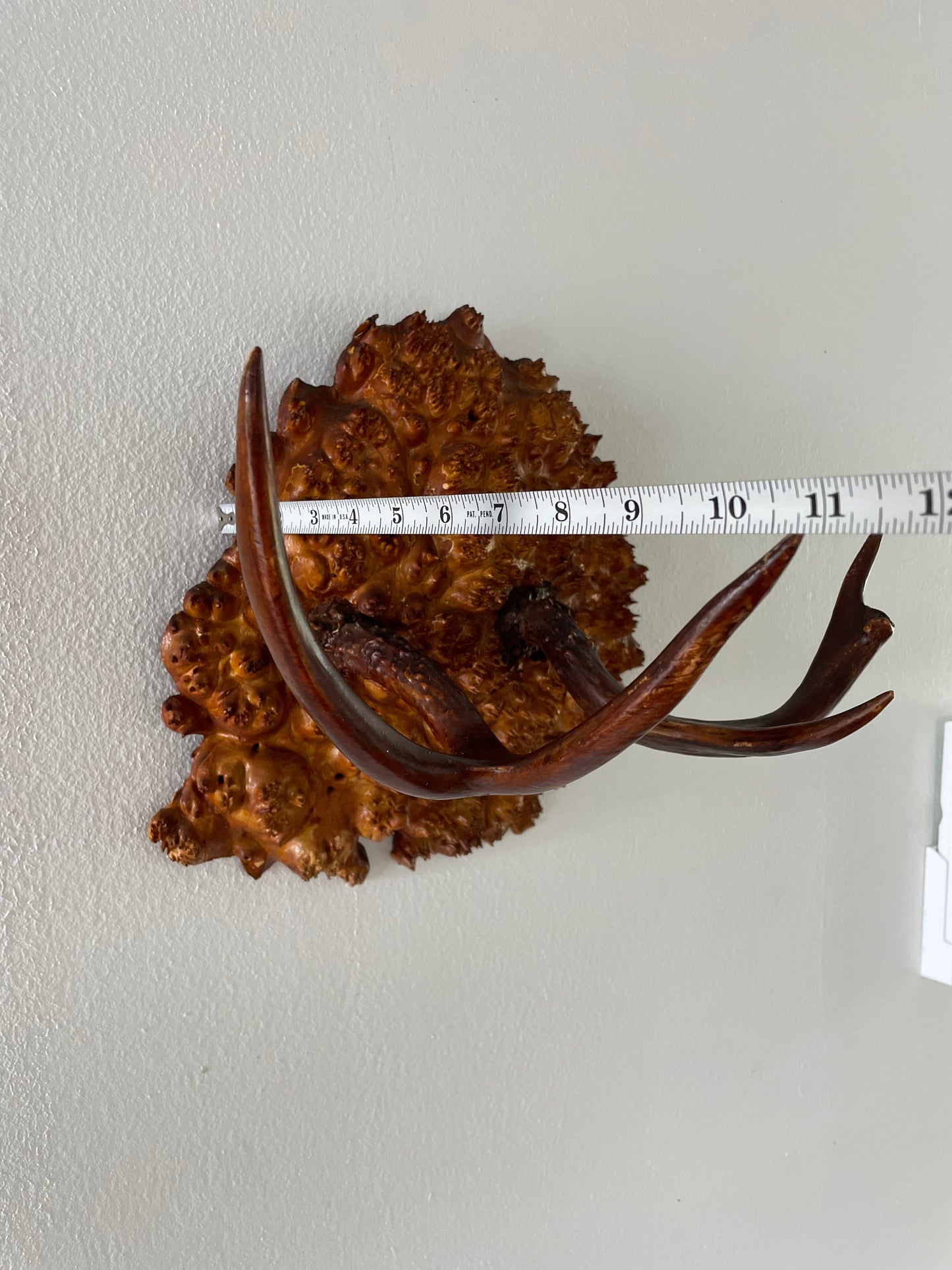 Vintage Trophy Antlers on Hardwood Burl Mount