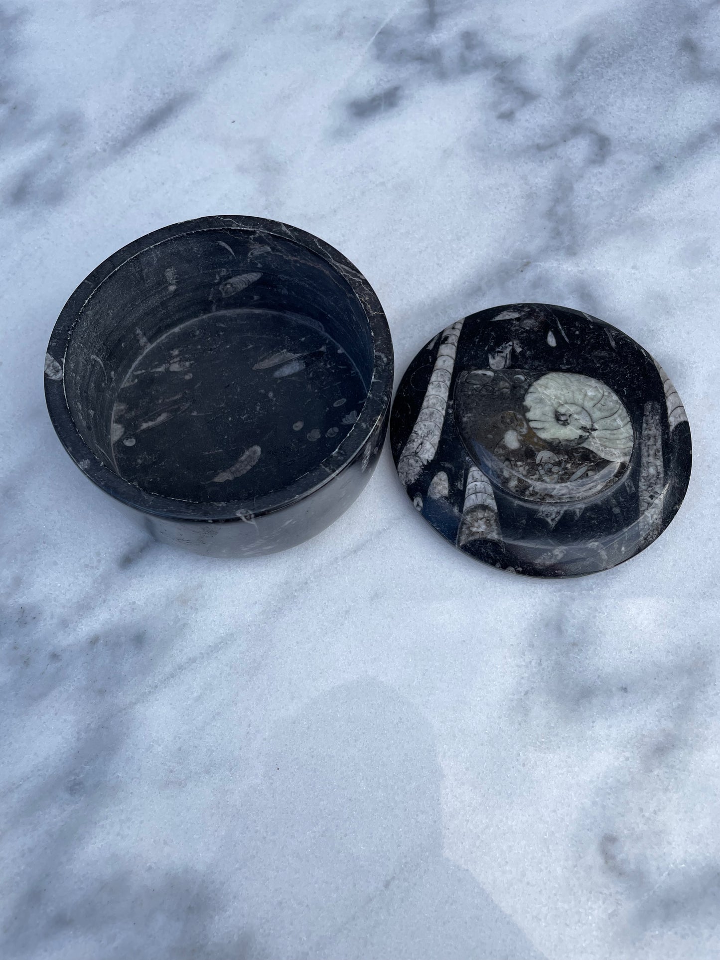 Ammonite and Orthocerus Fossil Trinket Box