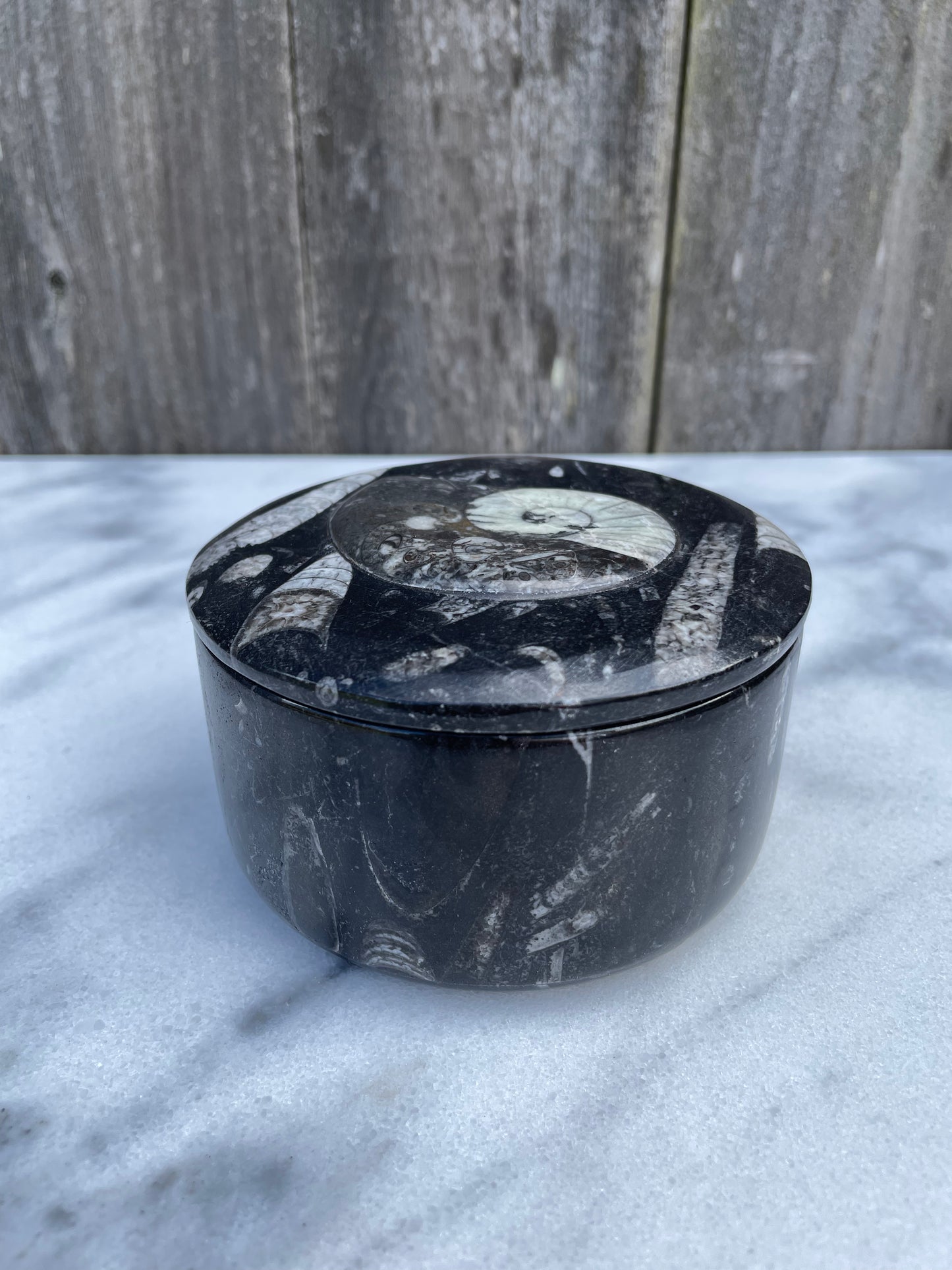 Ammonite and Orthocerus Fossil Trinket Box