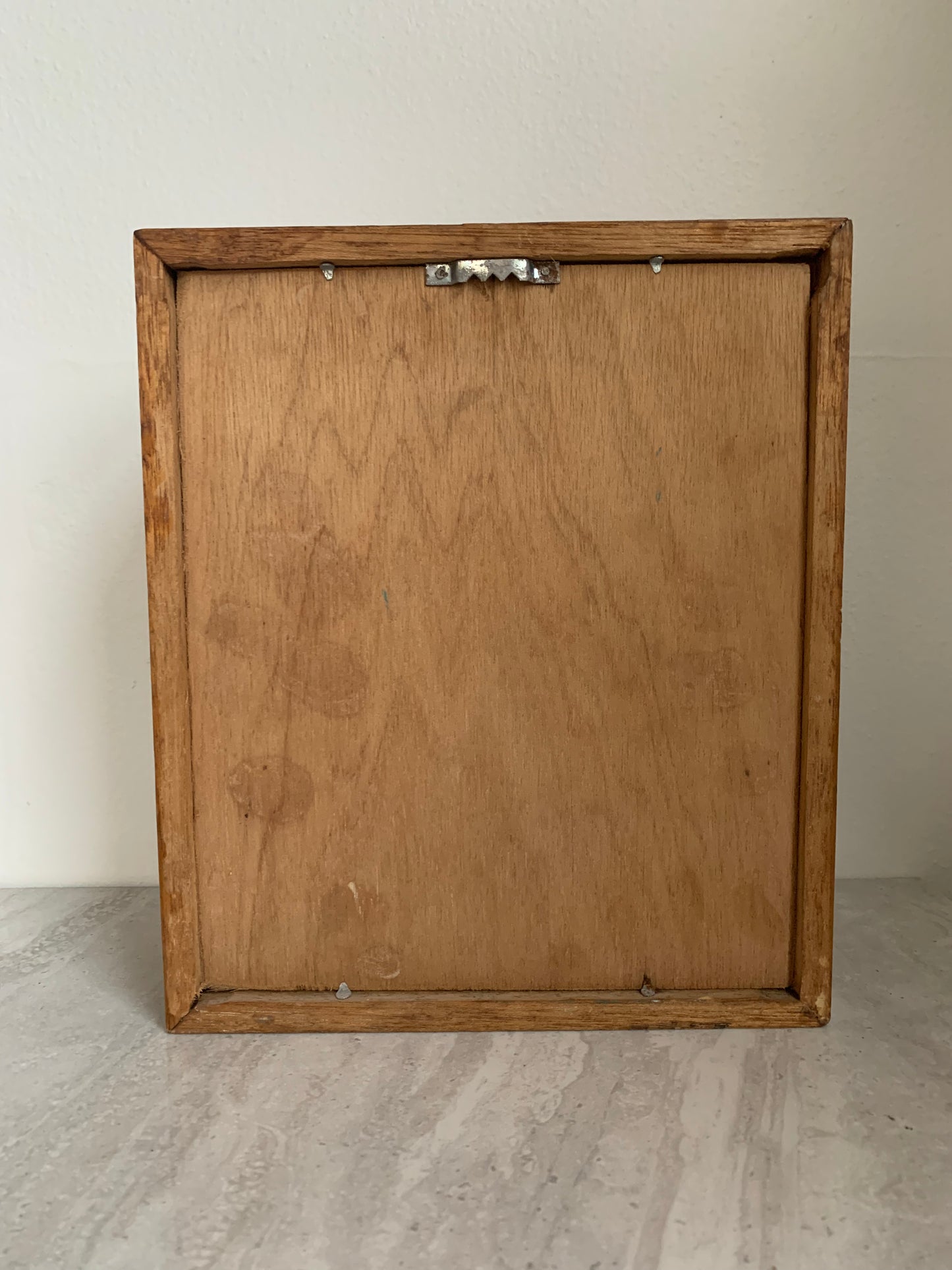 Vintage Shell in a Wooden Shadow Box