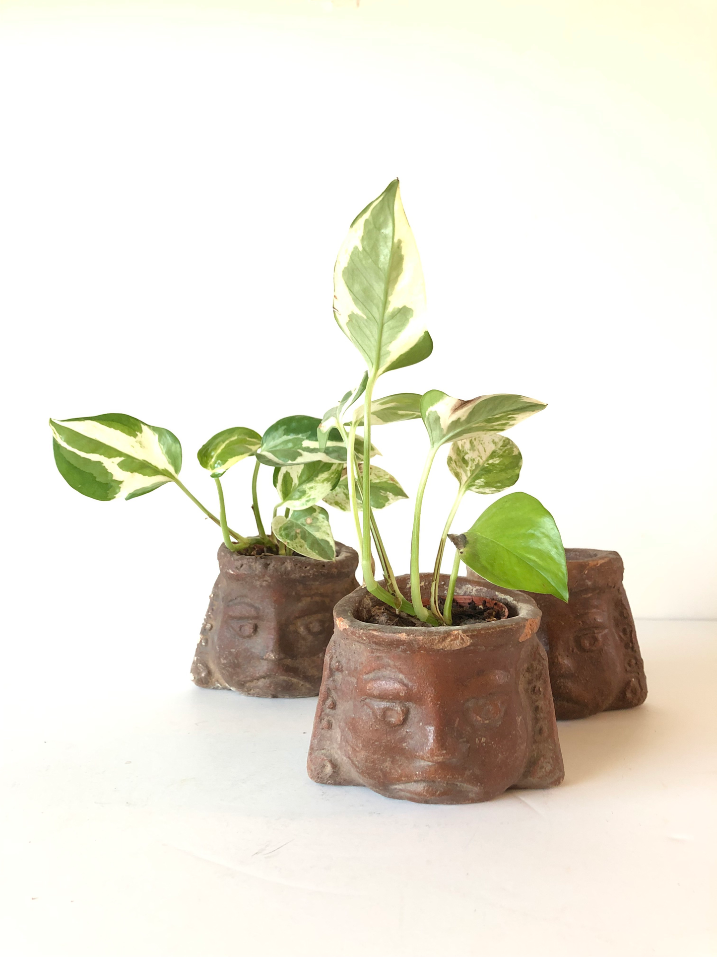 Vintage Ceramic Pots From Oaxaca Mexico