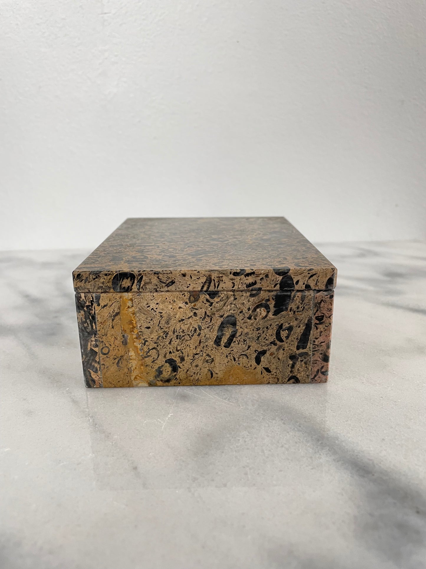 Late 20th Century Solid Stone Marble Fossil Trinket Box