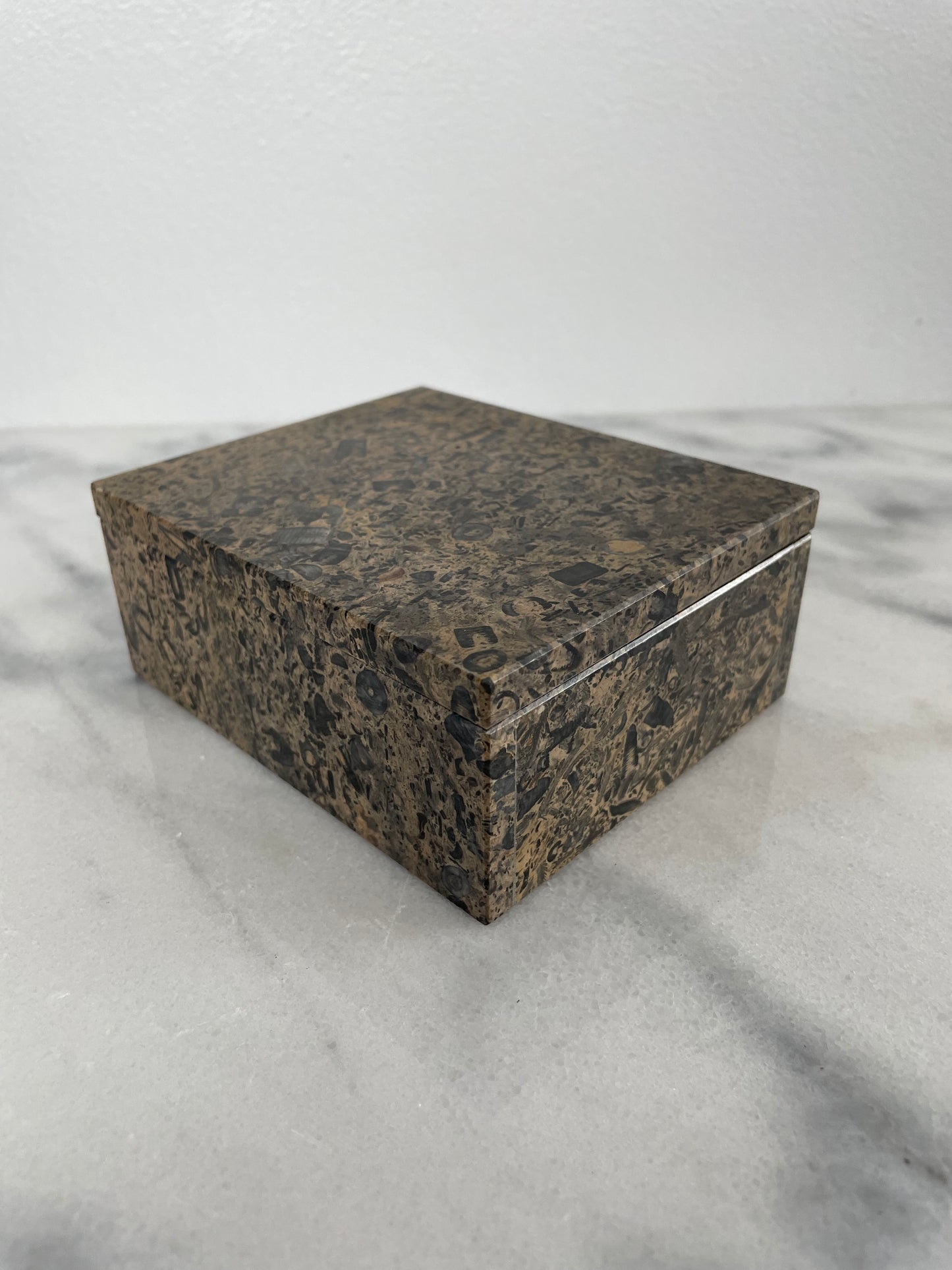 Late 20th Century Solid Stone Marble Fossil Trinket Box