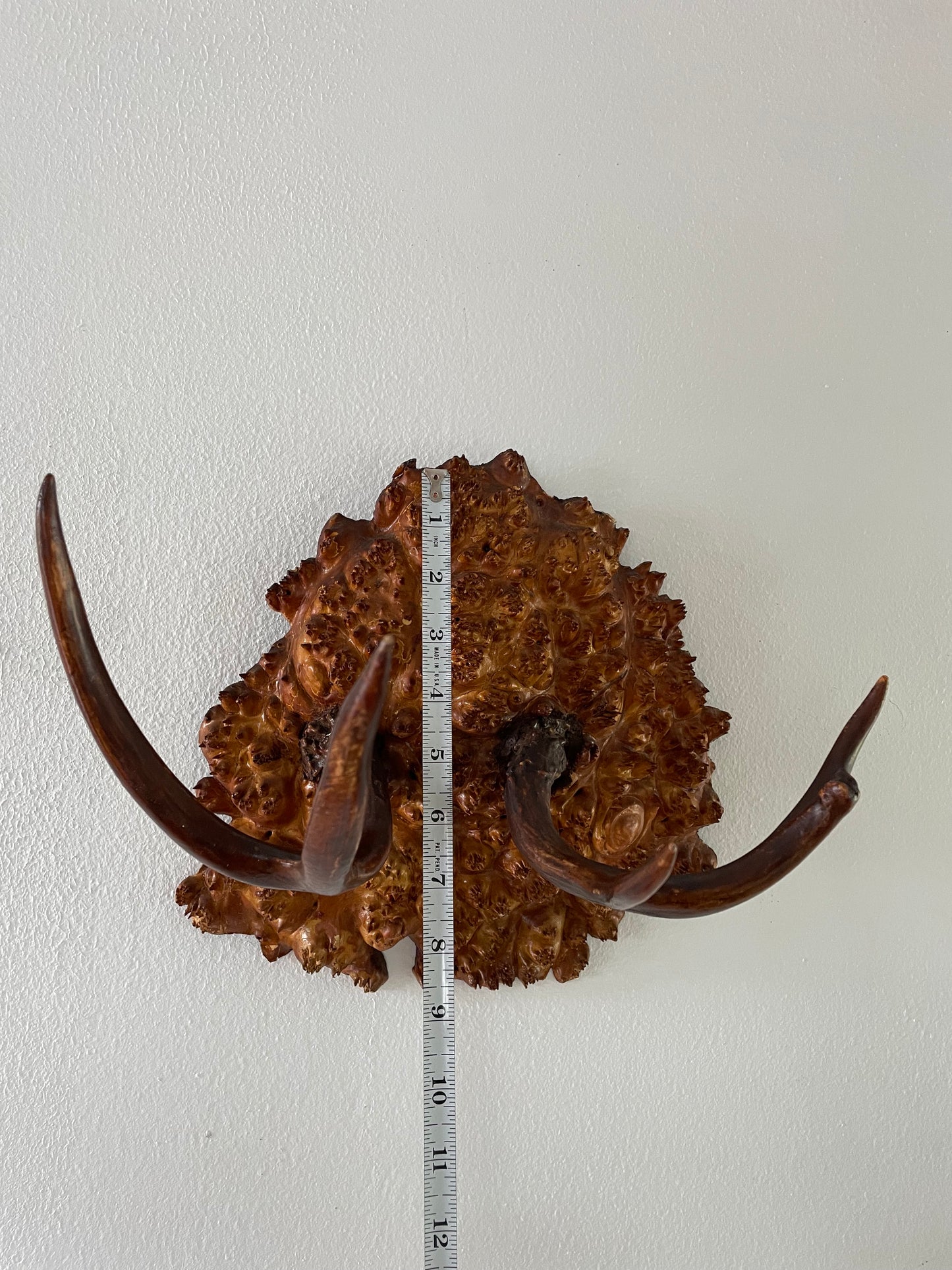 Vintage Trophy Antlers on Hardwood Burl Mount