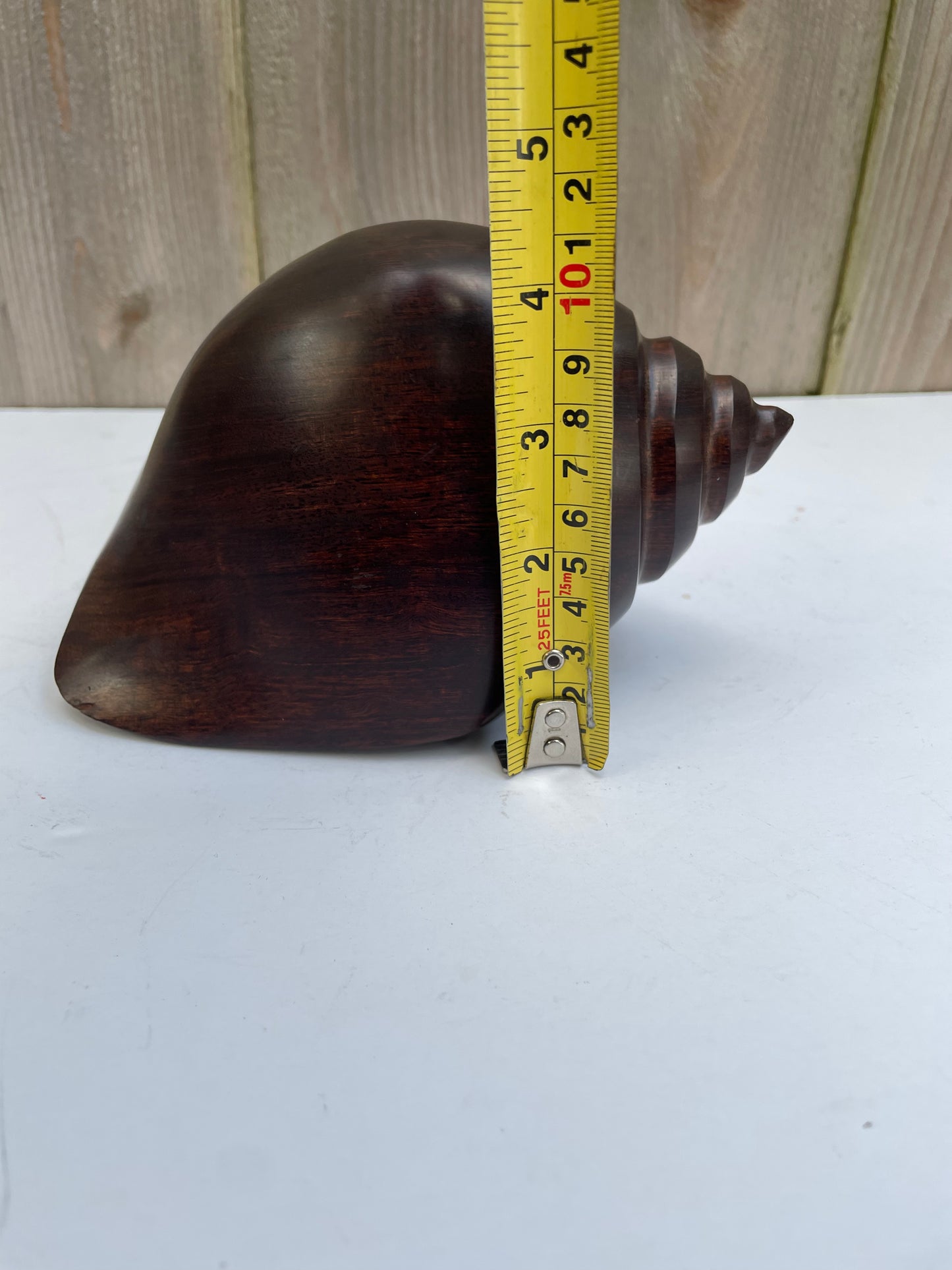 Mid 20th Century Carved & Polished Rosewood Conch Shell