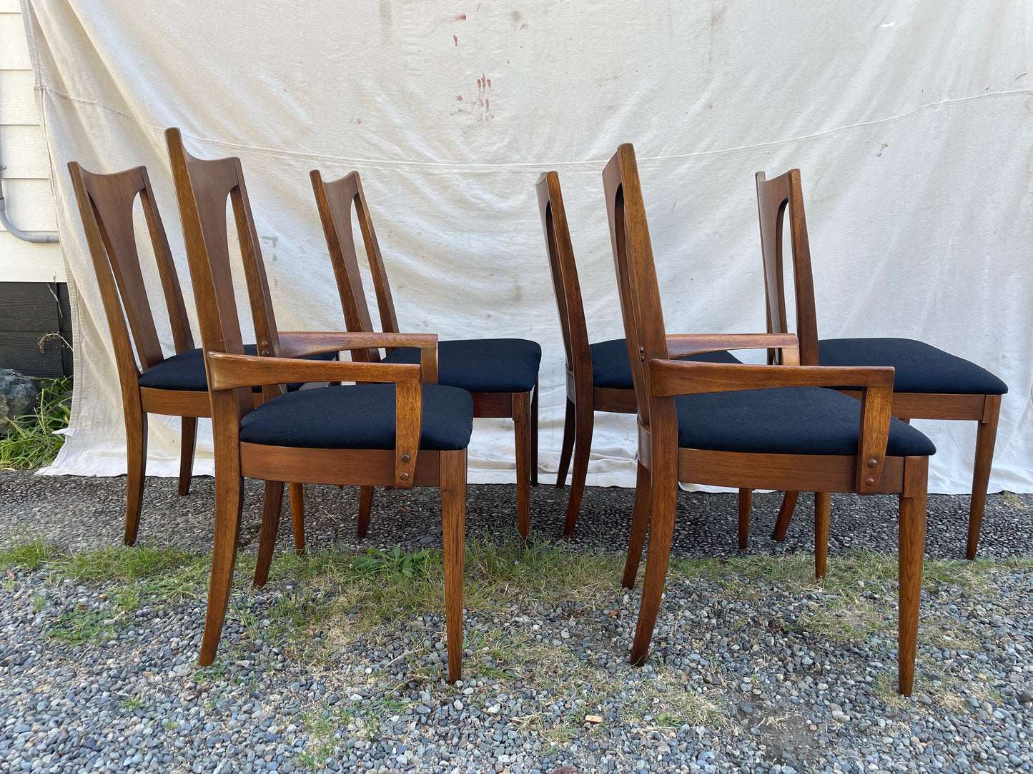 Set of 6 Mid-Century Modern Broyhill Brasilia Sculpted Walnut Dining Chairs