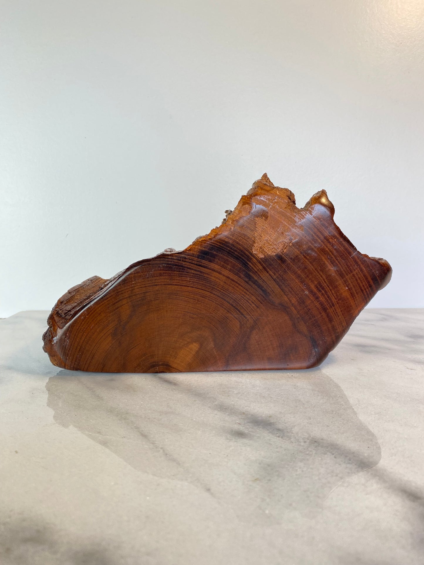 Mid 20th Century Studio Craft Raw Edge Tropical Hardwood Jewelry Box by Galería Arenal
