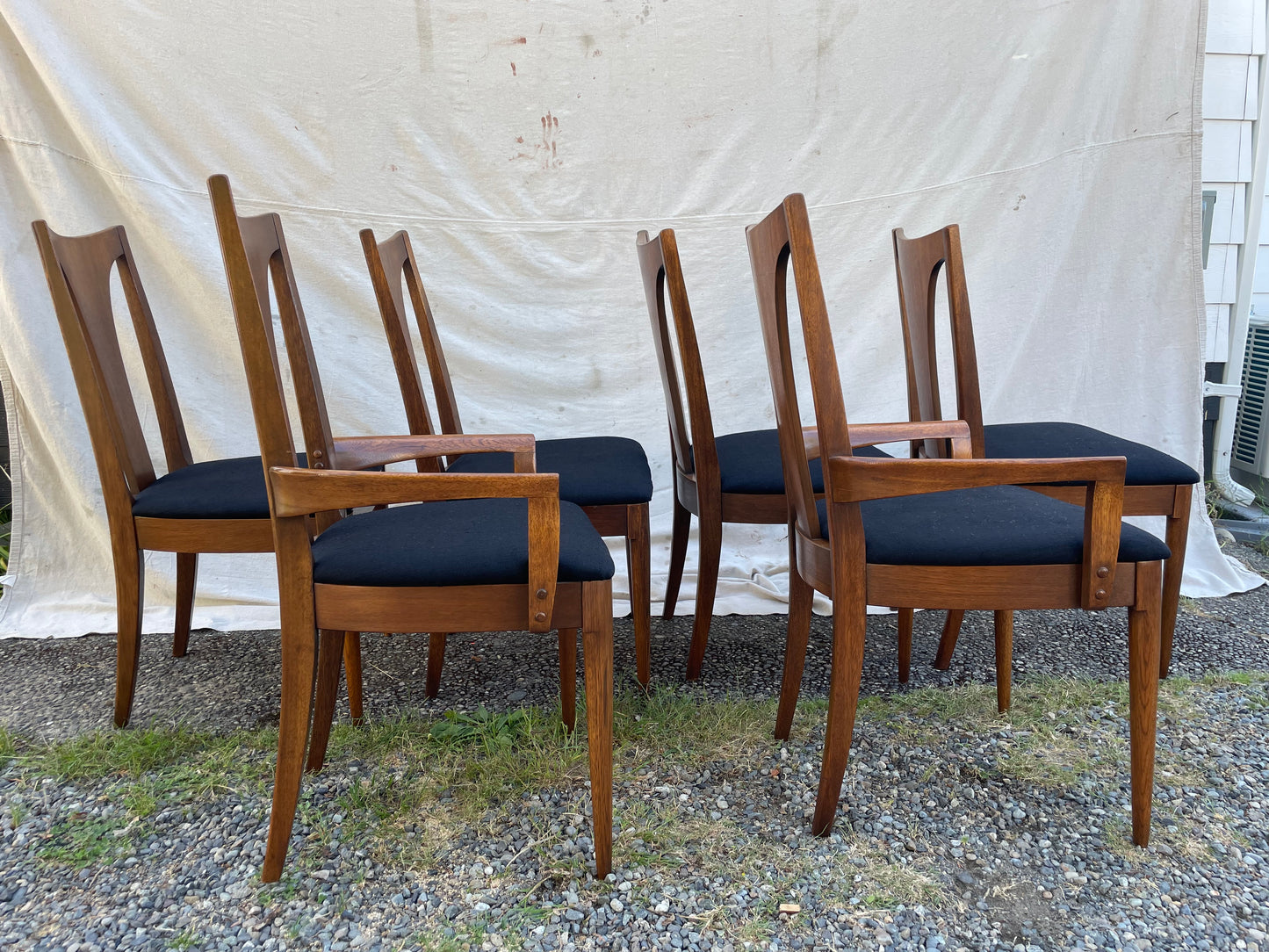 Set of 6 Mid-Century Modern Broyhill Brasilia Sculpted Walnut Dining Chairs