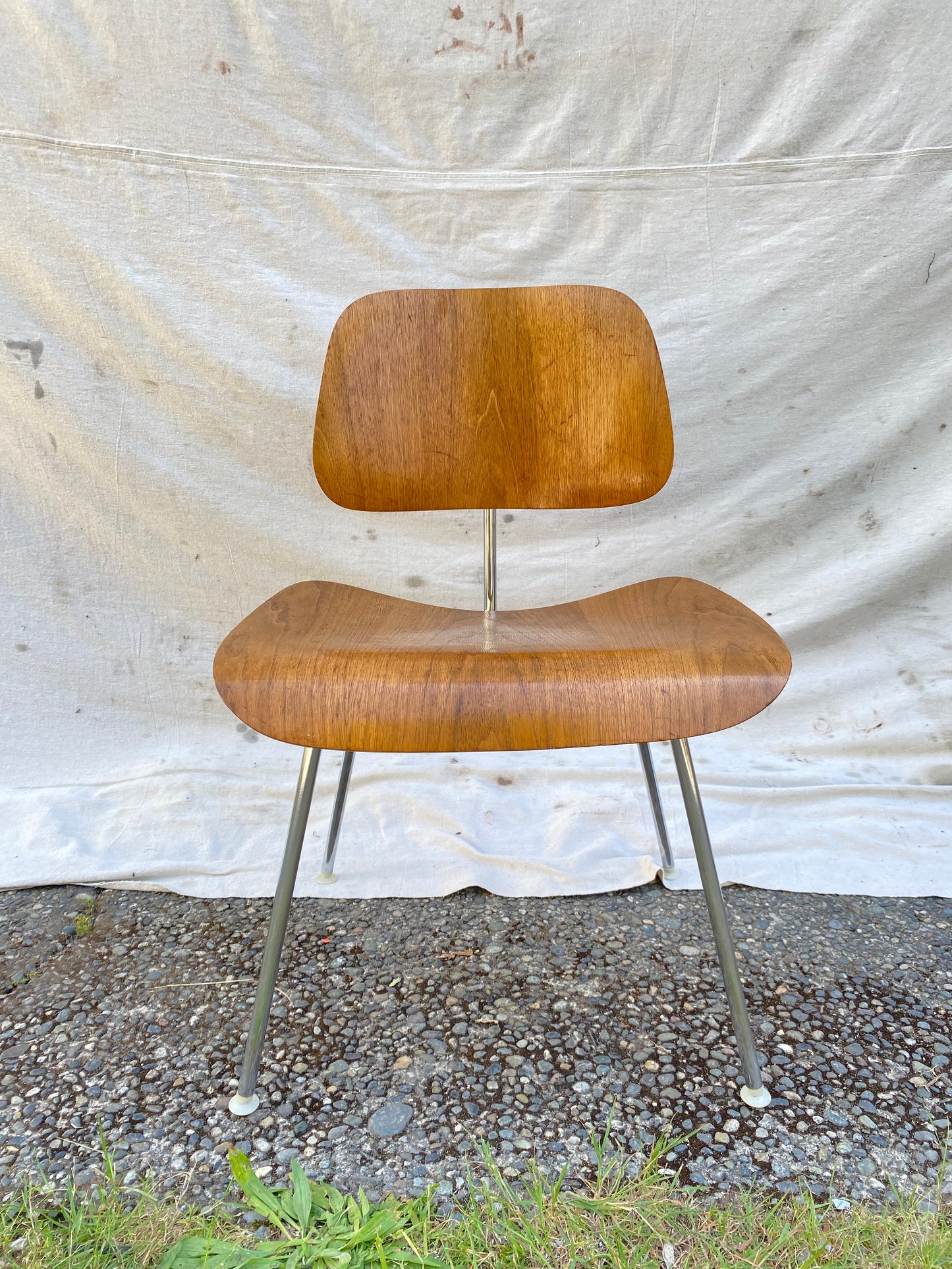Charles & Ray Eames for Herman Miller DCM Dining Chair, 1950s–1960s, Molded Birch Plywood