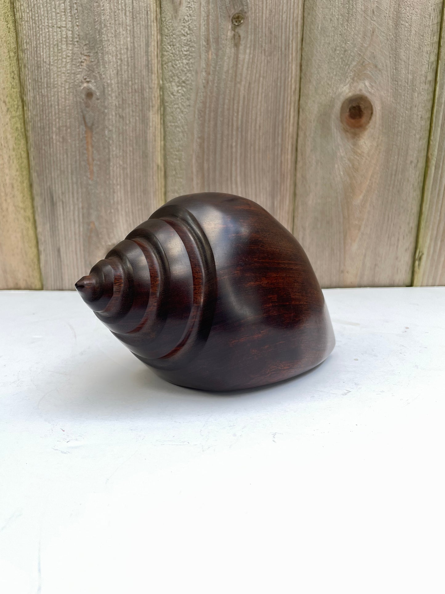 Mid 20th Century Carved & Polished Rosewood Conch Shell