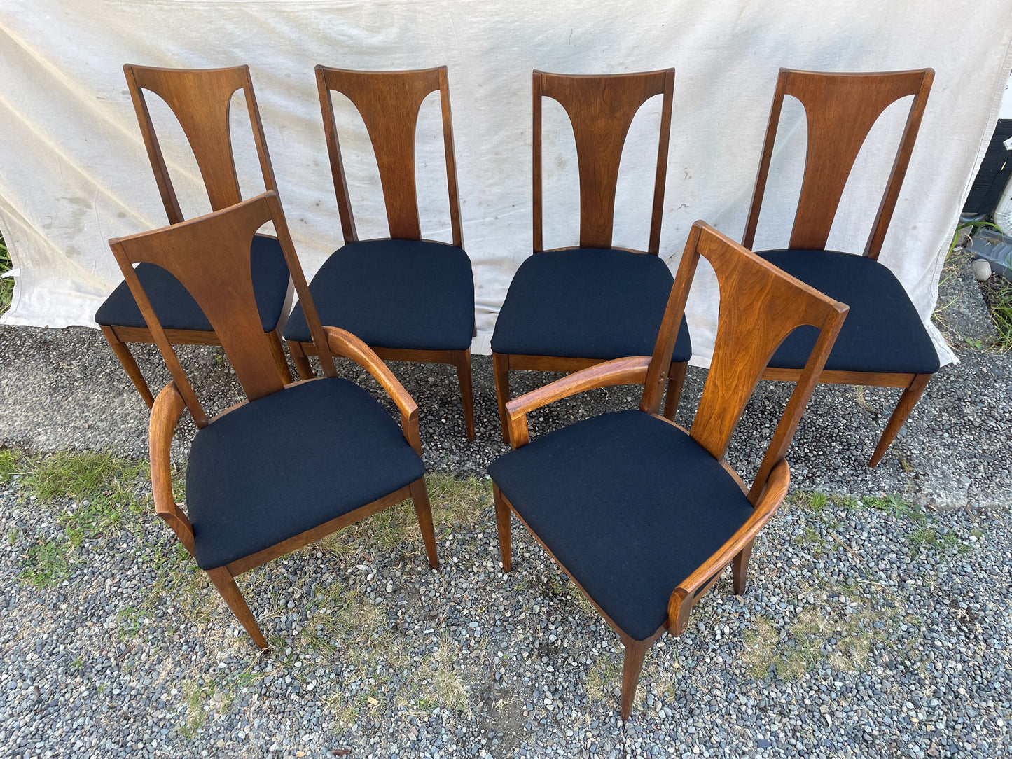 Set of 6 Mid-Century Modern Broyhill Brasilia Sculpted Walnut Dining Chairs