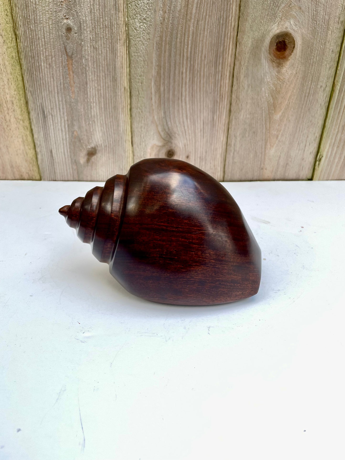 Mid 20th Century Carved & Polished Rosewood Conch Shell