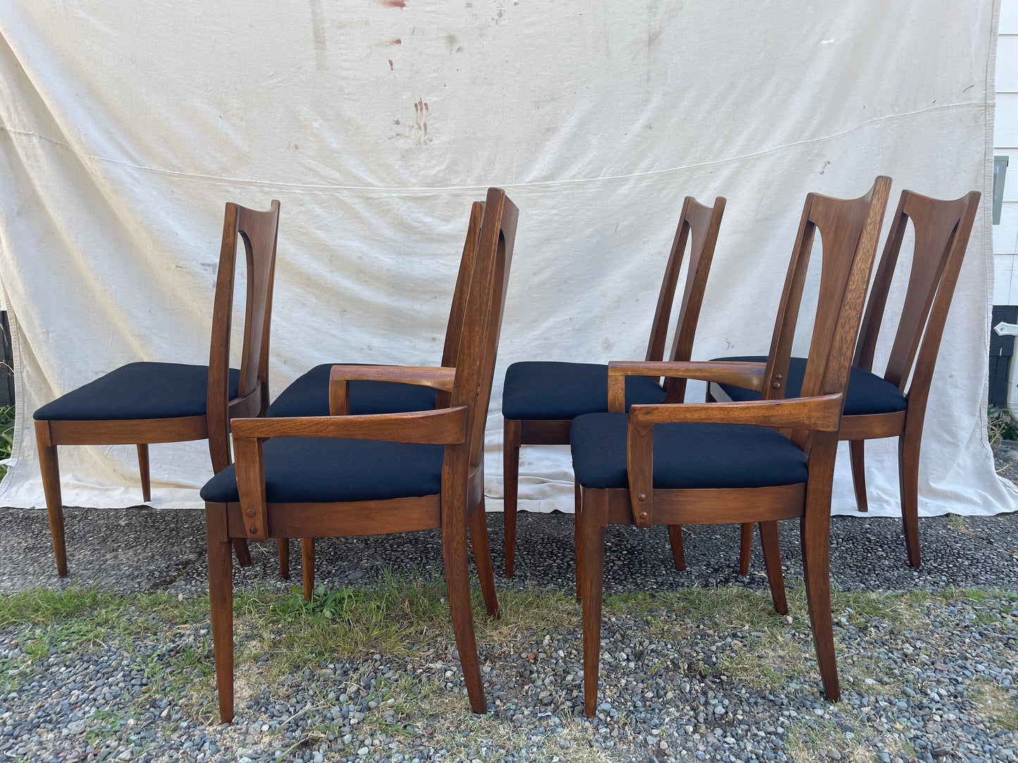 Set of 6 Mid-Century Modern Broyhill Brasilia Sculpted Walnut Dining Chairs