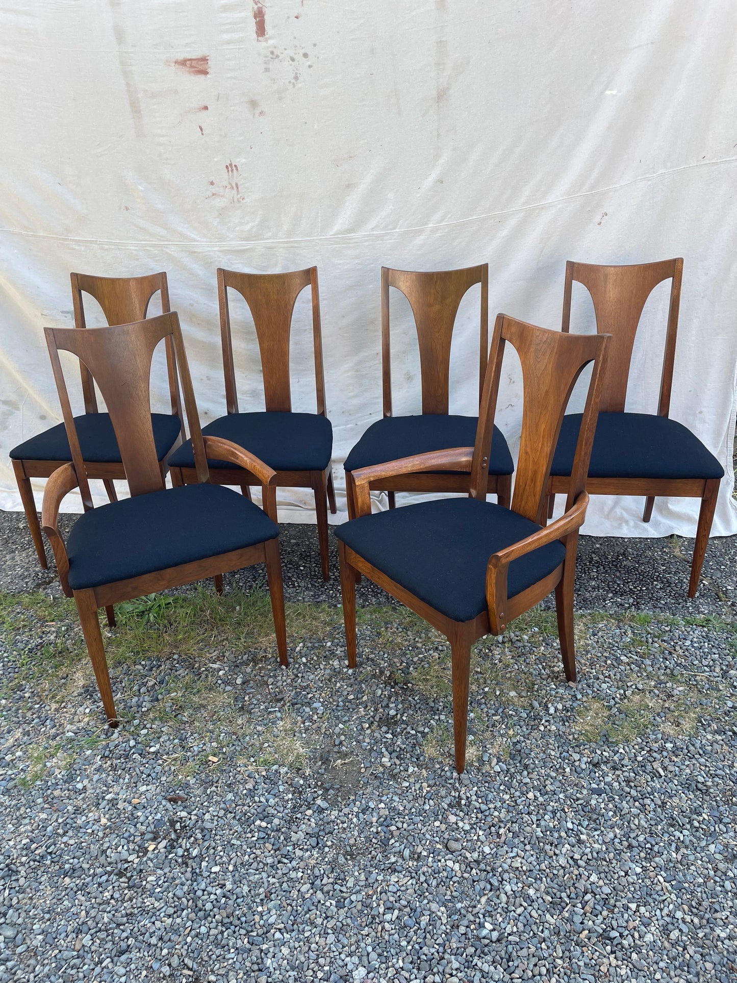 Set of 6 Mid-Century Modern Broyhill Brasilia Sculpted Walnut Dining Chairs