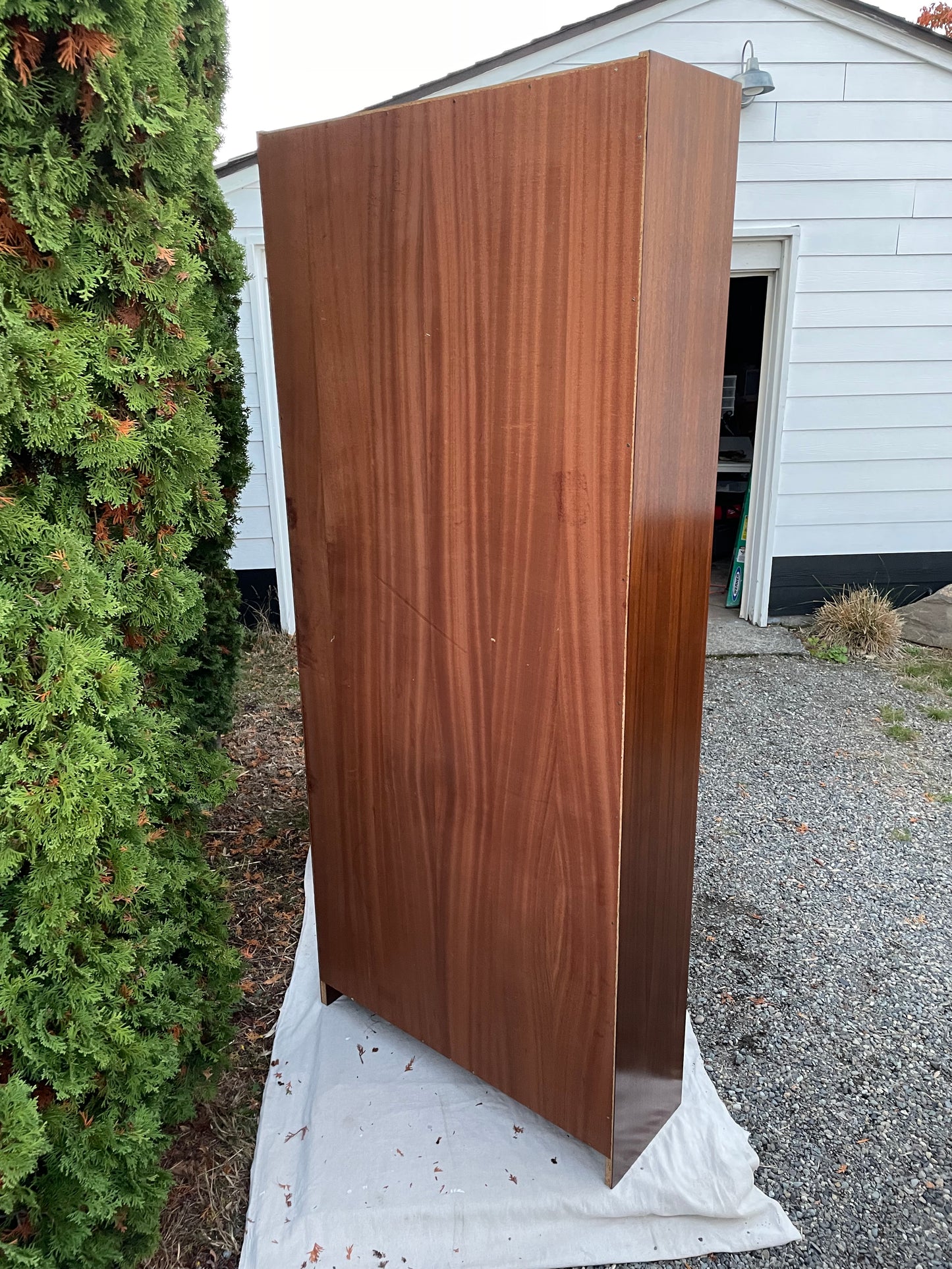 Mid 20th Century European Modern Bookcase With Adjustable Shelves in Walnut