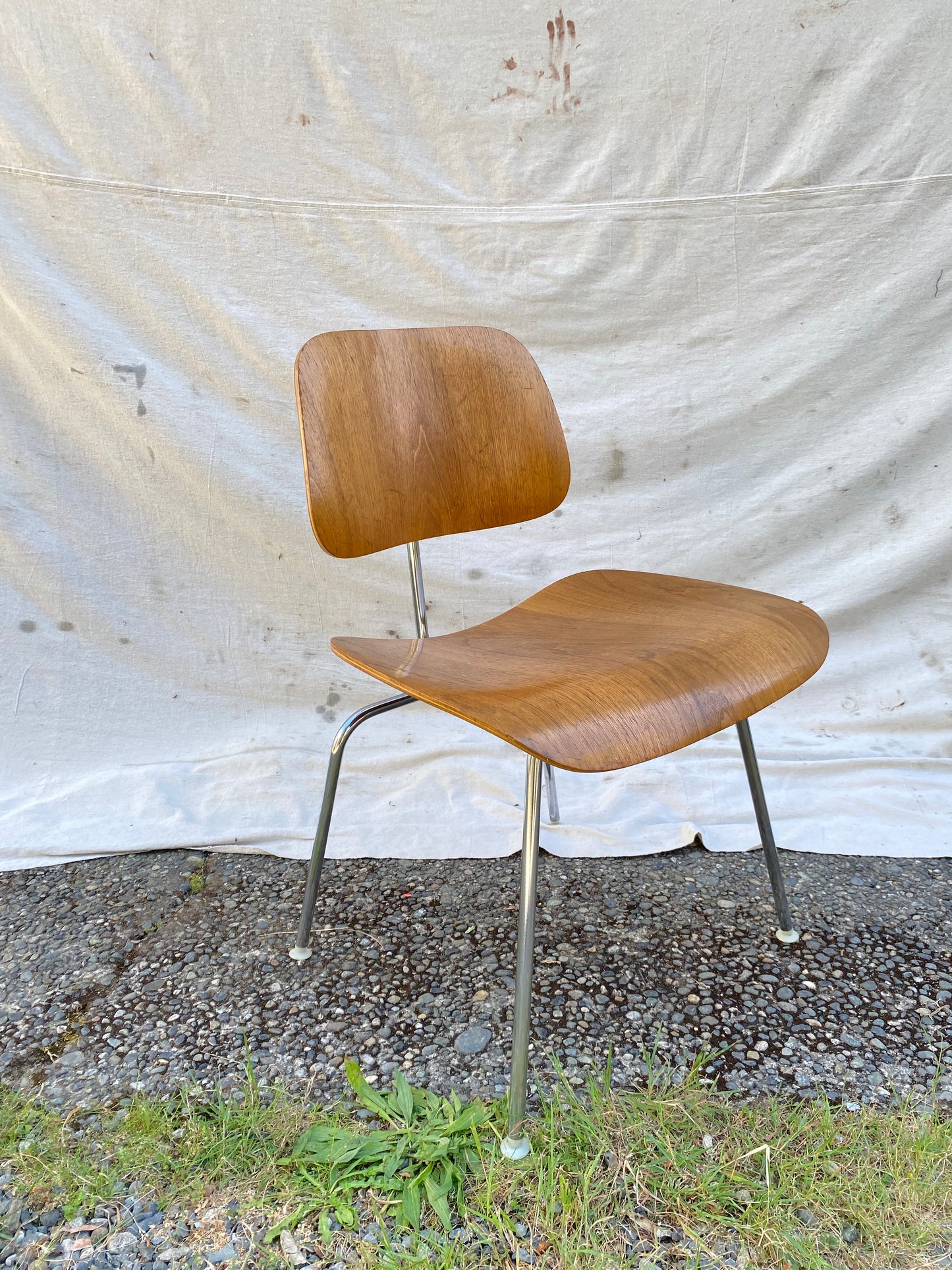 Charles & Ray Eames for Herman Miller DCM Dining Chair, 1950s–1960s, Molded Birch Plywood