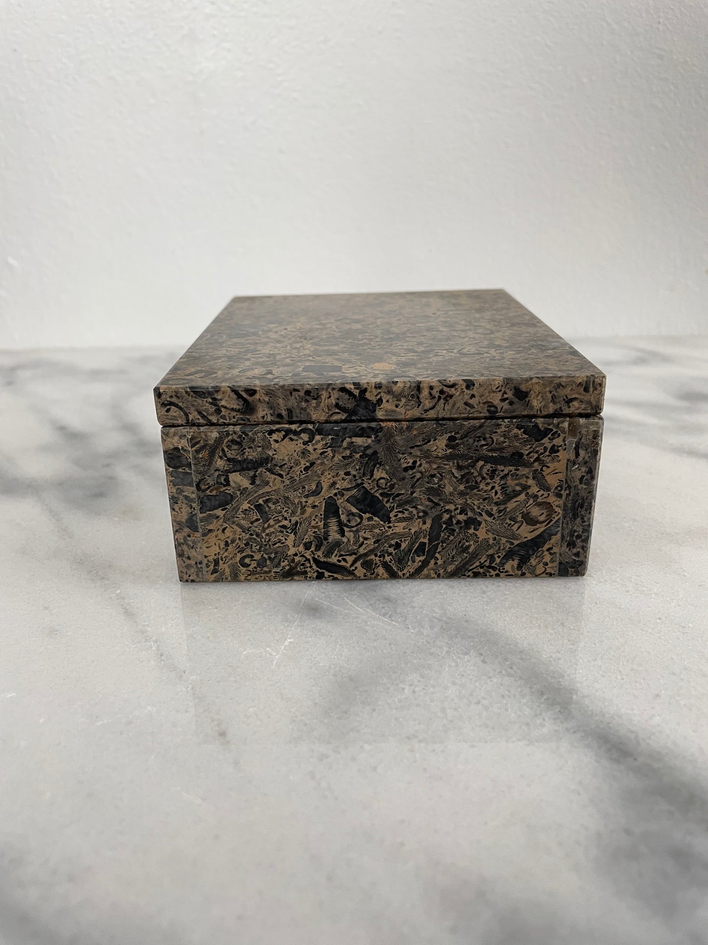 Late 20th Century Solid Stone Marble Fossil Trinket Box