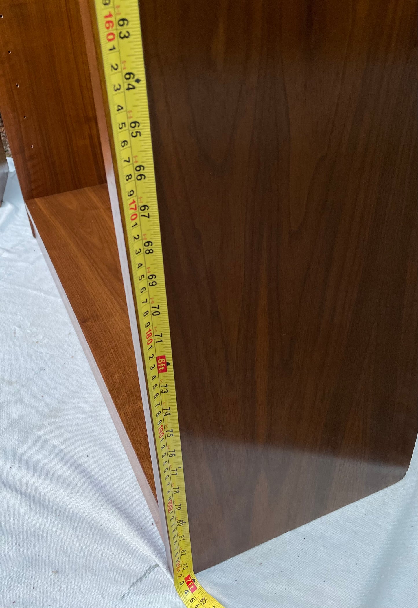 Mid 20th Century European Modern Bookcase With Adjustable Shelves in Walnut