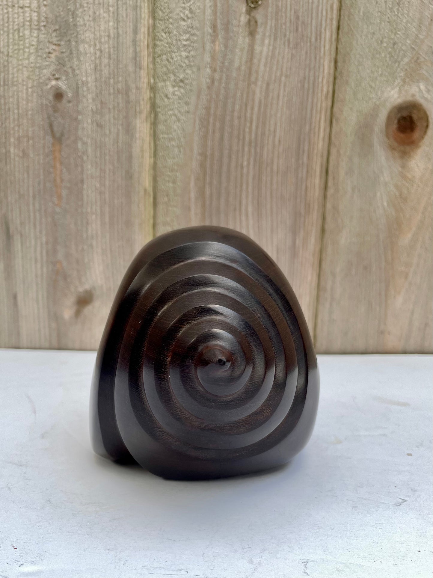 Mid 20th Century Carved & Polished Rosewood Conch Shell