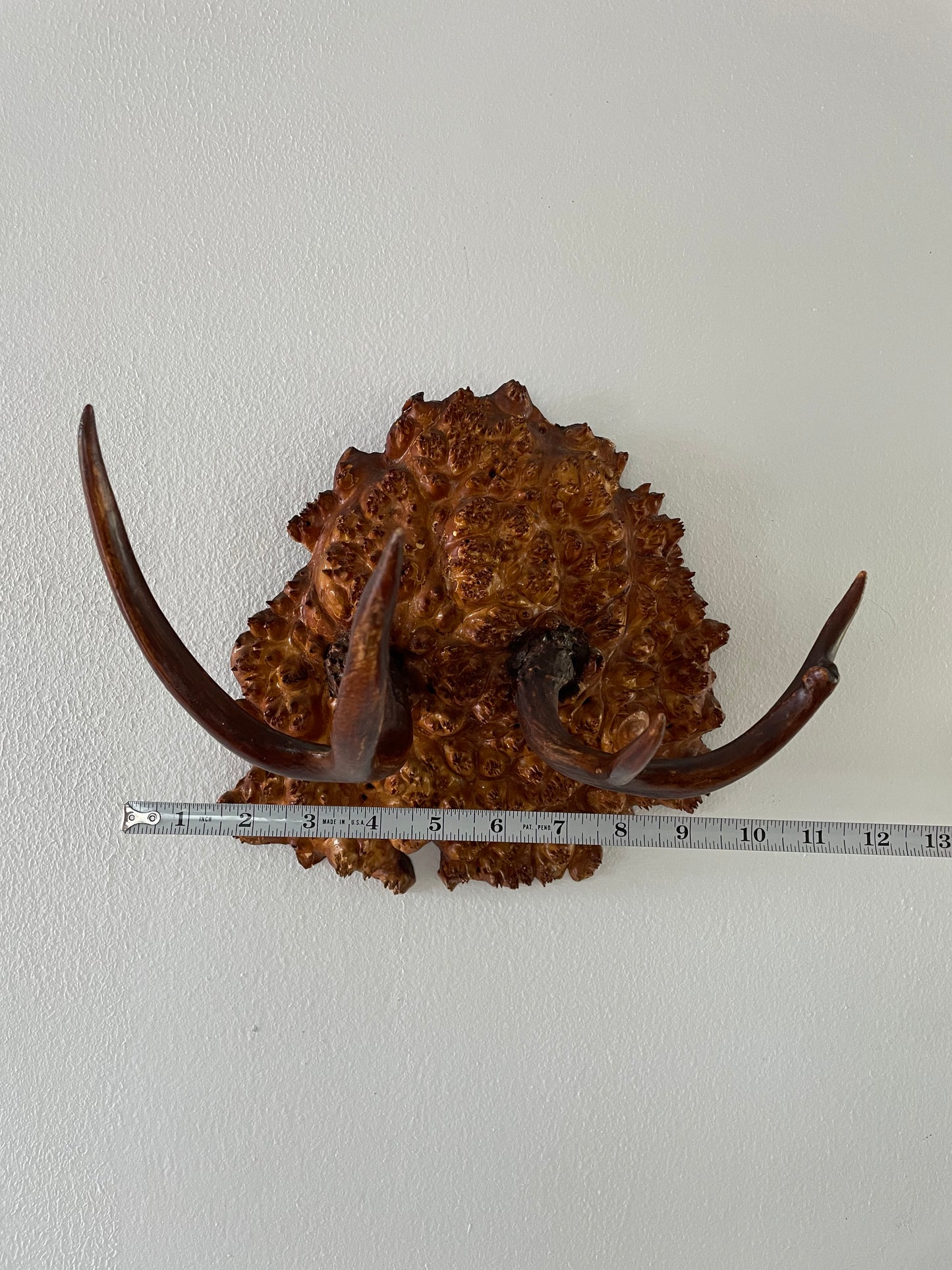Vintage Trophy Antlers on Hardwood Burl Mount