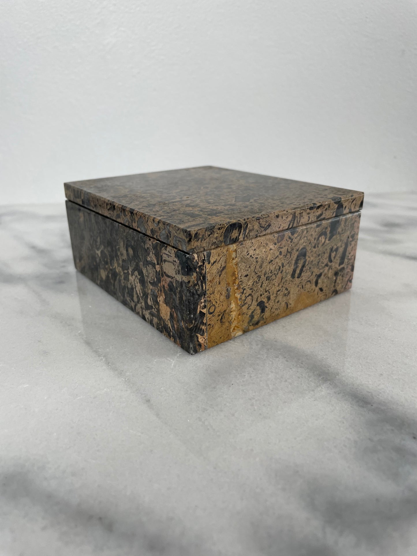 Late 20th Century Solid Stone Marble Fossil Trinket Box