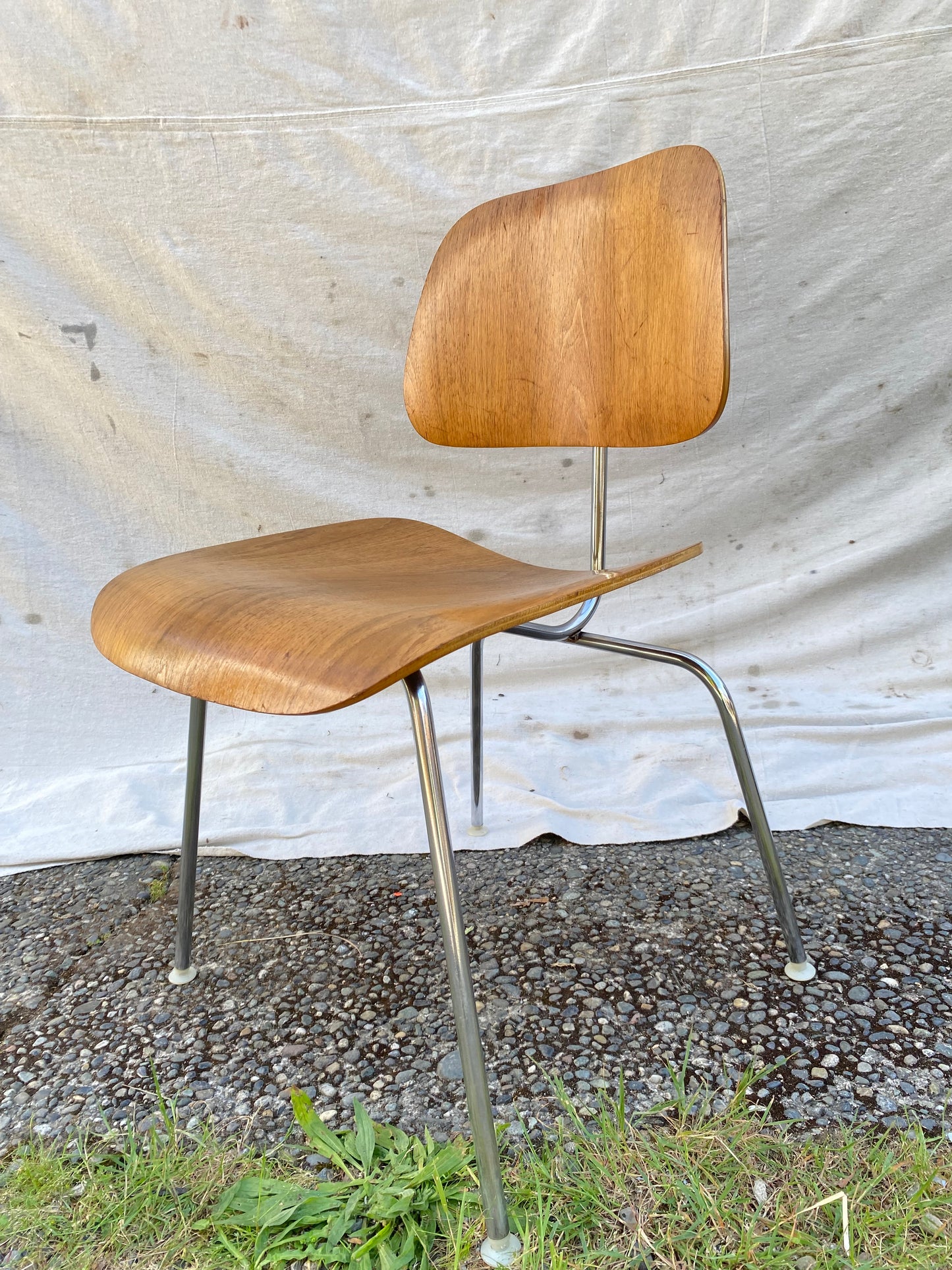 Charles & Ray Eames for Herman Miller DCM Dining Chair, 1950s–1960s, Molded Birch Plywood