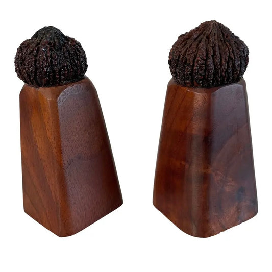 Vintage Black Walnut Salt & Pepper Shakers- a Pair