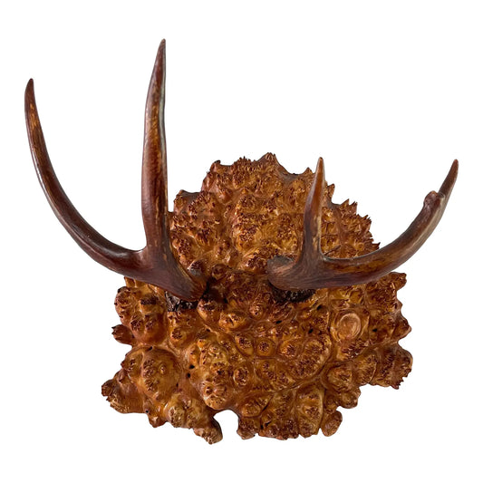 Vintage Trophy Antlers on Hardwood Burl Mount